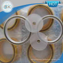 High Performance Dust Piston Rod Spring Energized PTFE Lip Seal